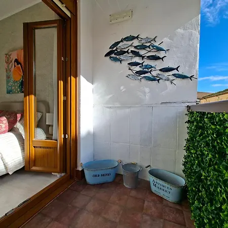 公寓 A 5 Min A Pie Del Centro, Cama 1'60, Wifi Y Netflix 圣维森特-德拉巴尔克拉